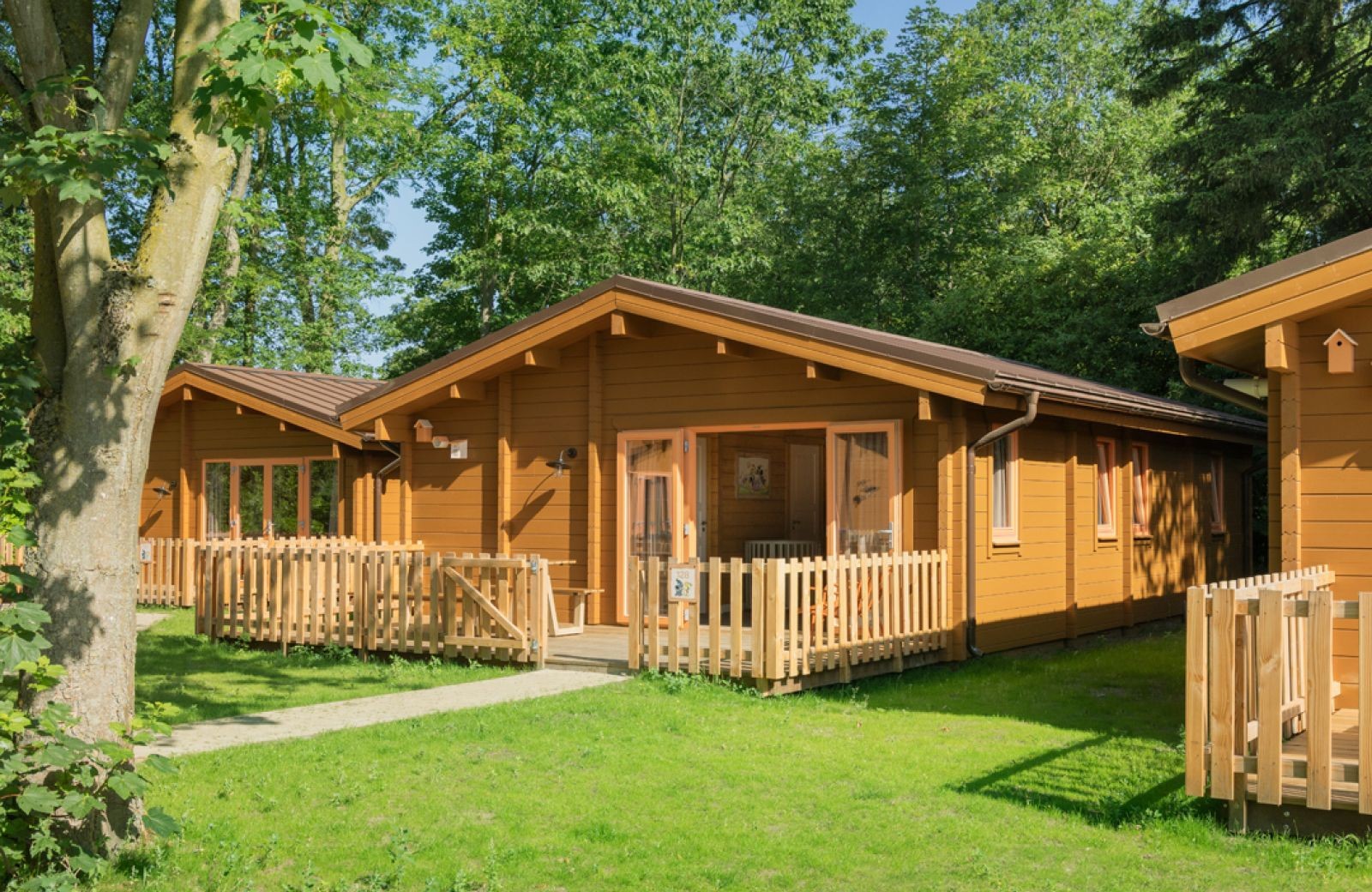 Woezel & Pip Babylodge - 6 Personen